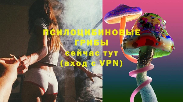 мяу мяу мука Арсеньев